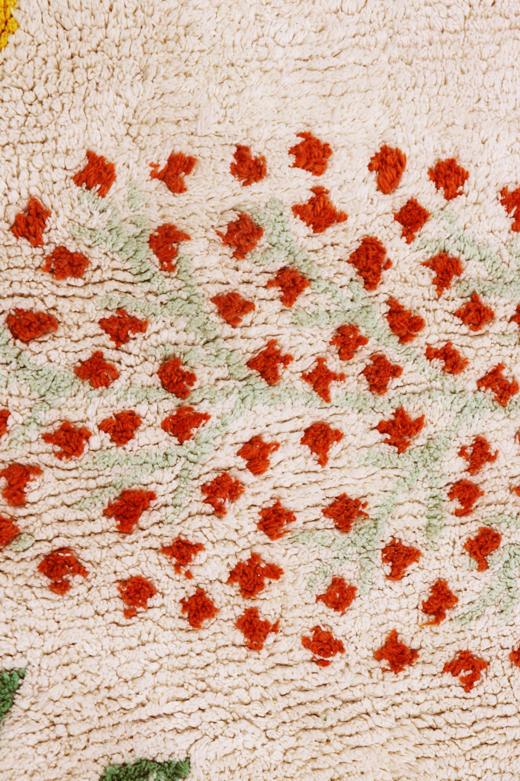 Tapis Lavable Plantes Botaniques 140 x 200 Cm LORENA CANALS
