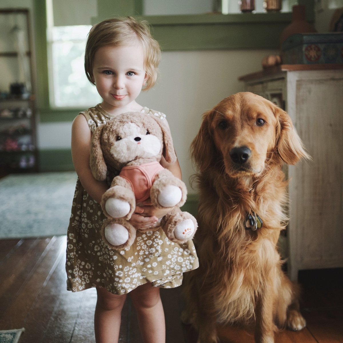 OLLI ELLA - Chien Dinkum Dog - Honey